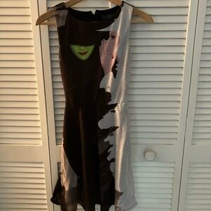 Wicked the musical dress